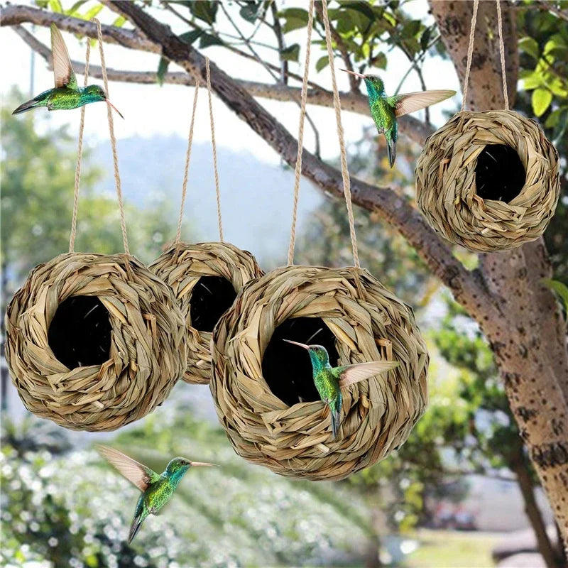 New Birds Nest