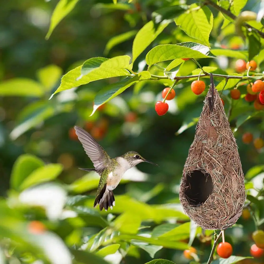 1/2PCS Bird House Natural Grass Hummingbird