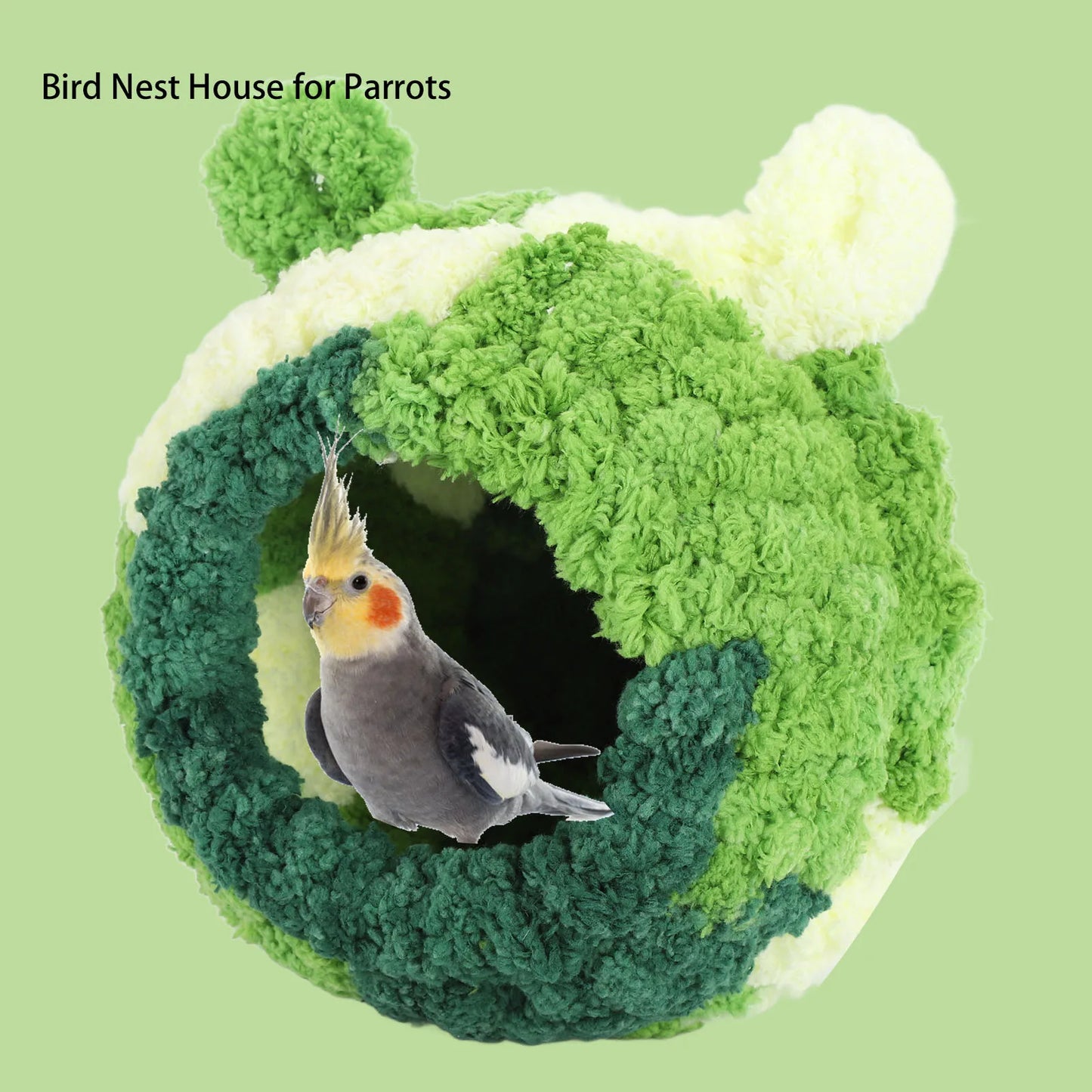 Bird Cage Bed