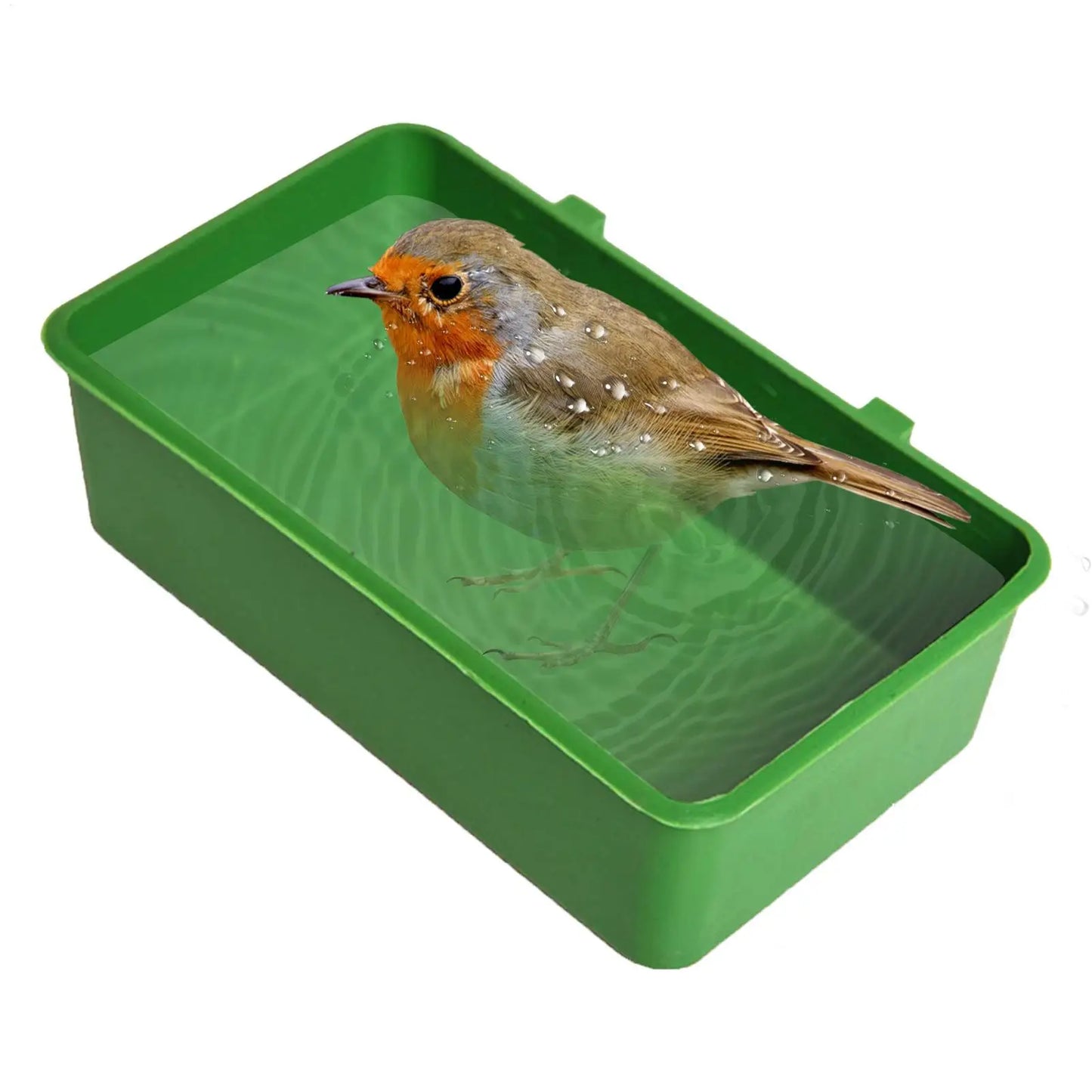 Water Bath Tub for Pet
