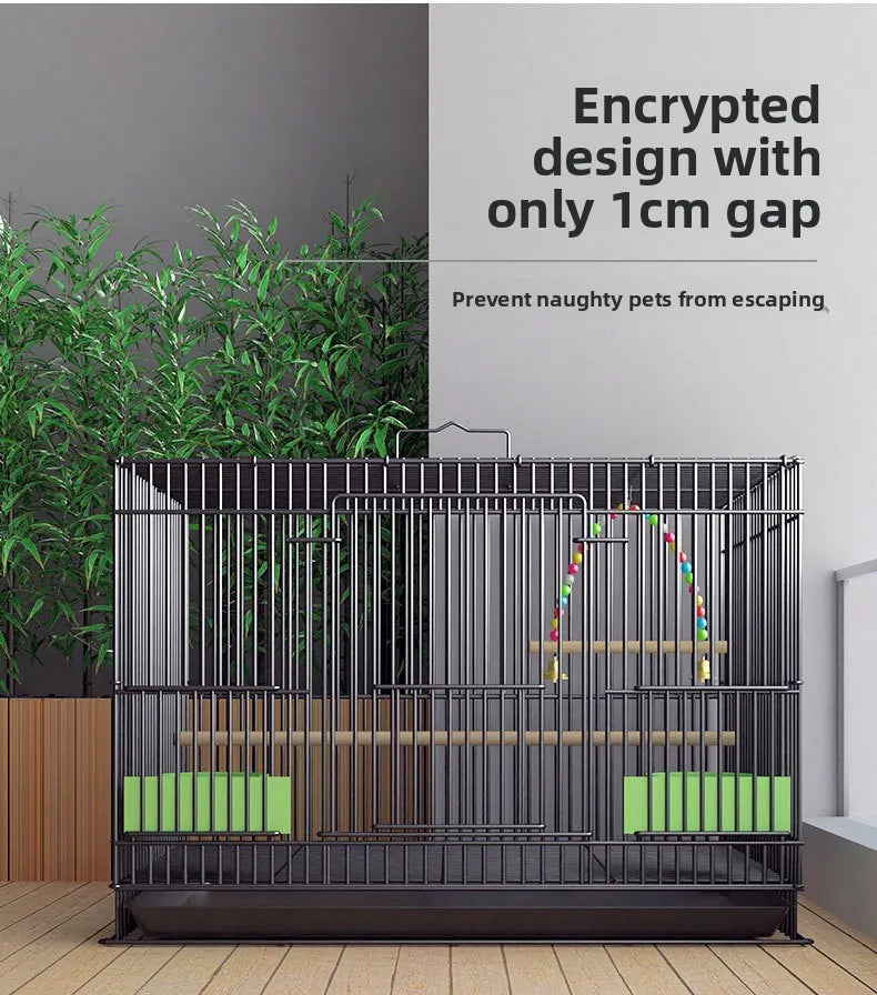 Giant Bird Cage