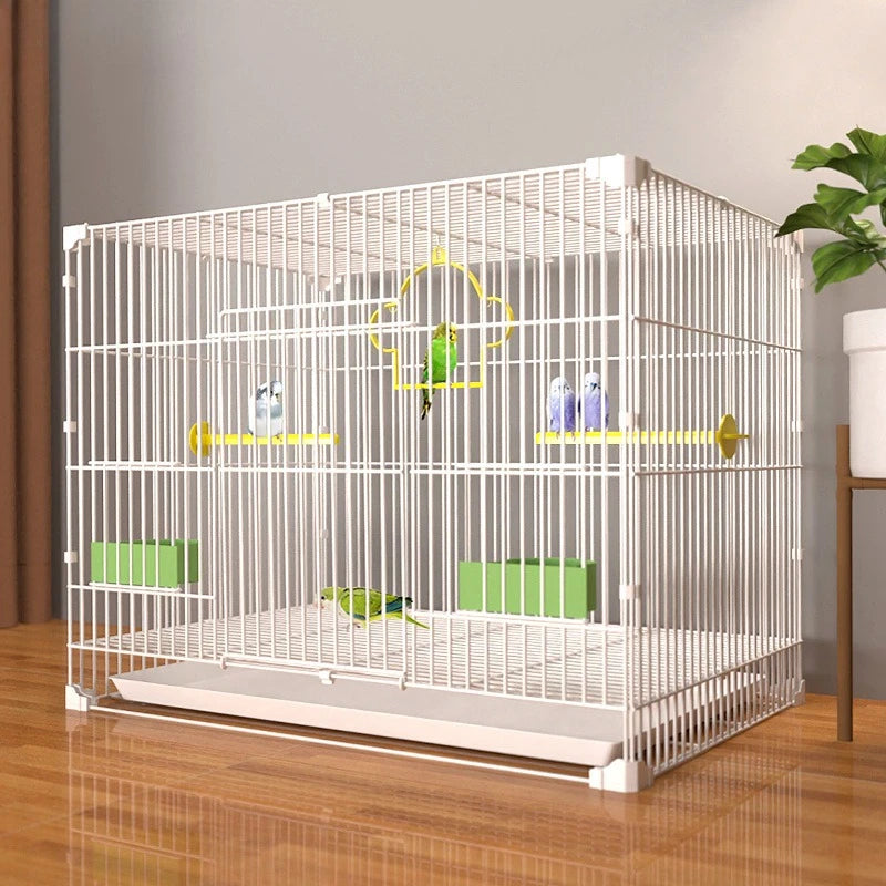 Giant Bird Cage