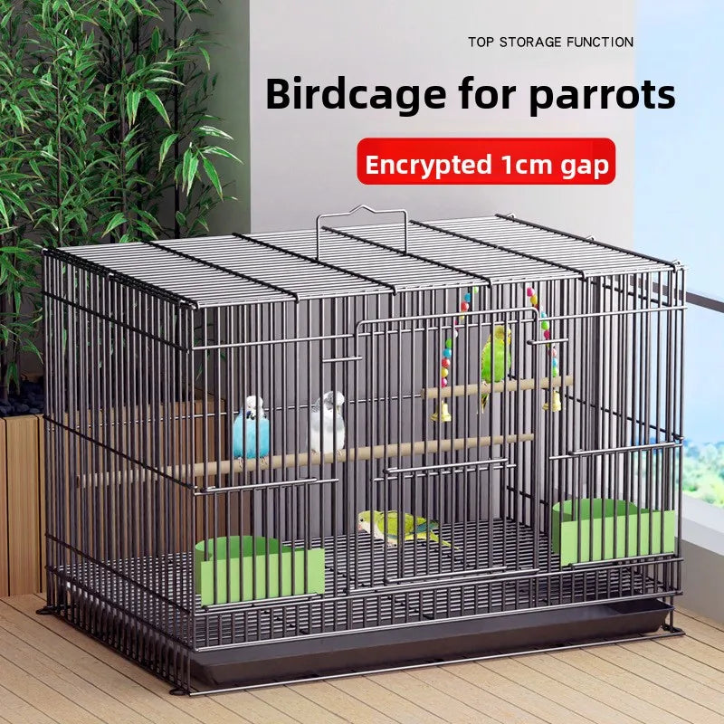 Giant Bird Cage