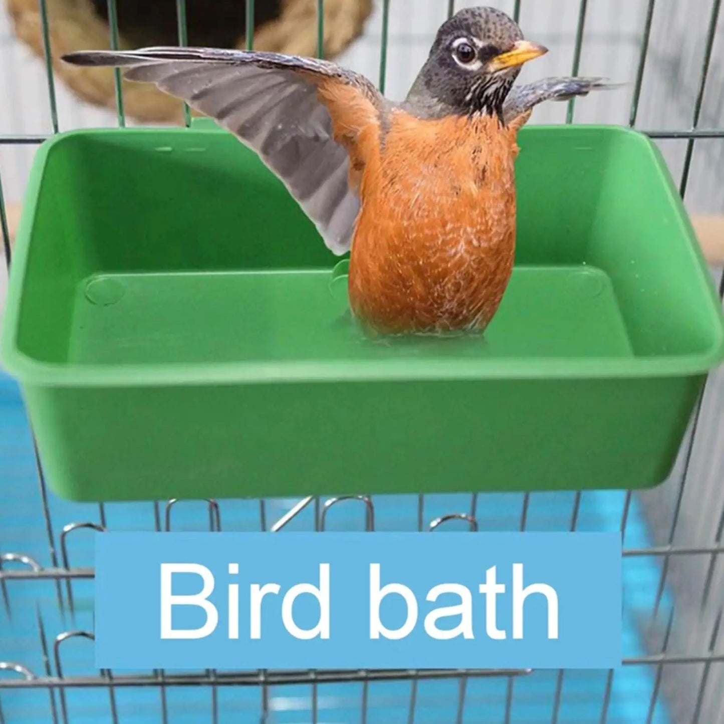 Water Bath Tub for Pet