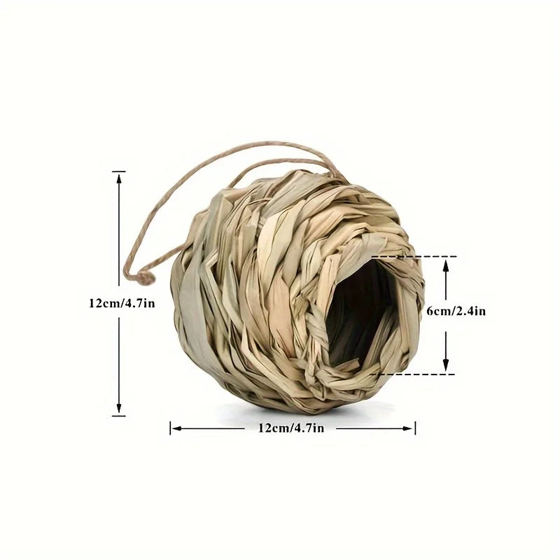 New Birds Nest