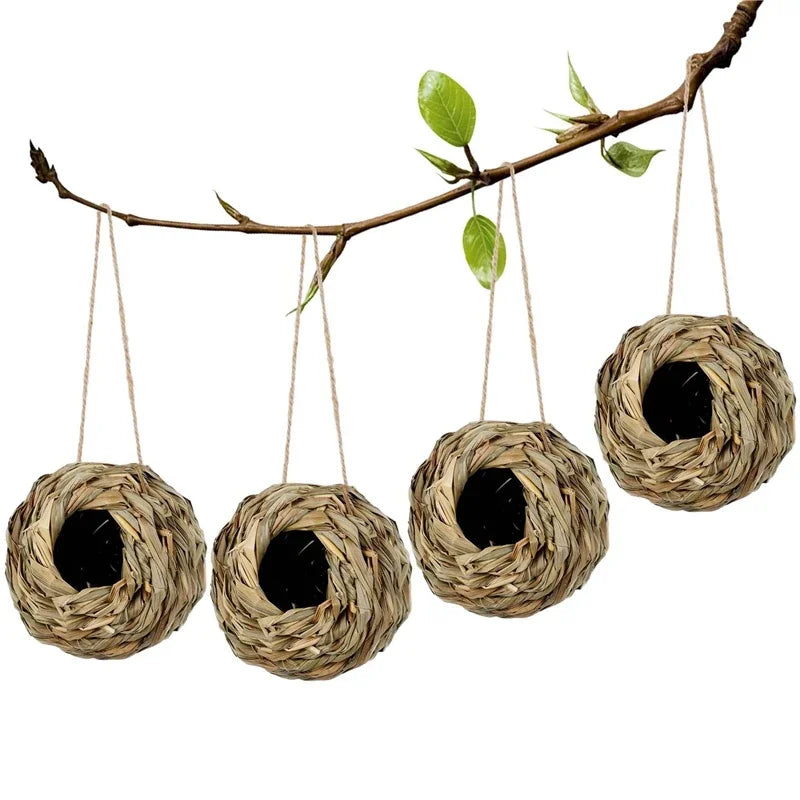 New Birds Nest