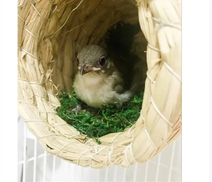 Handmade Straw Natural Bird Nest/Pigeon