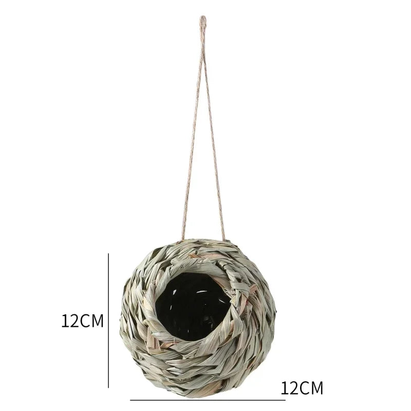 New Birds Nest