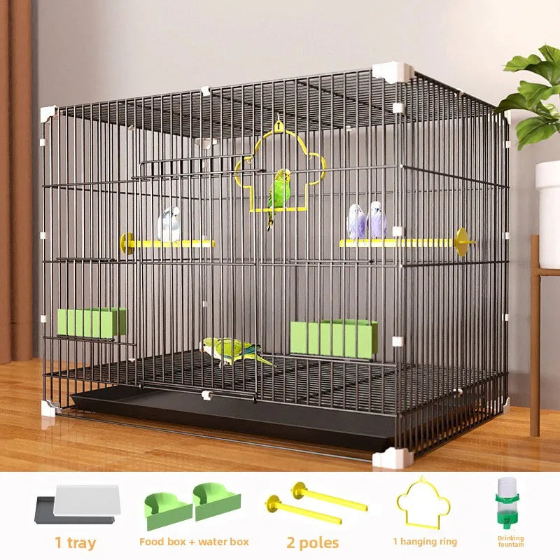 Giant Bird Cage