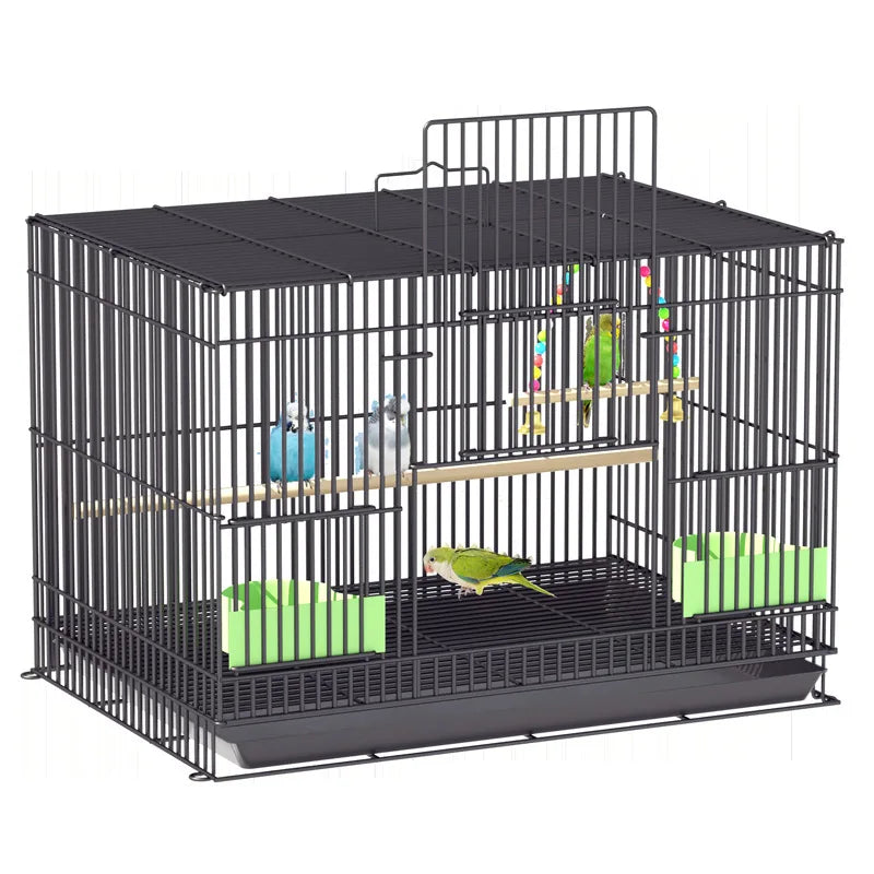 Giant Bird Cage