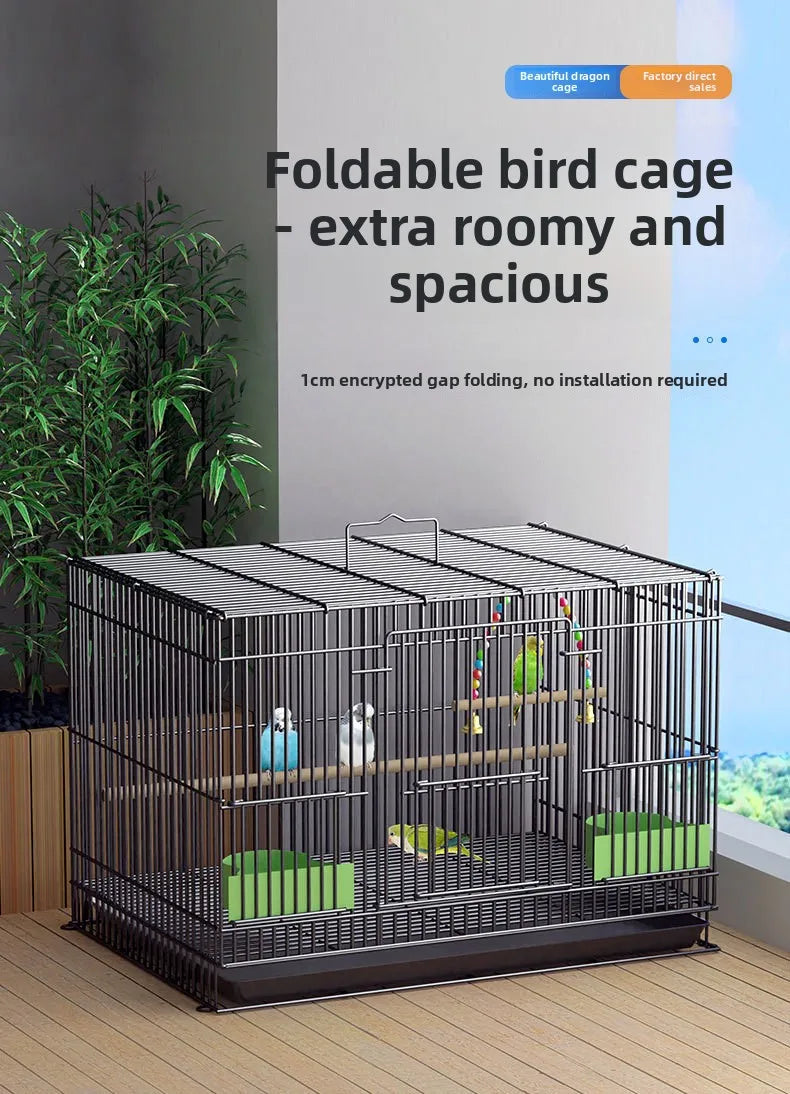Giant Bird Cage