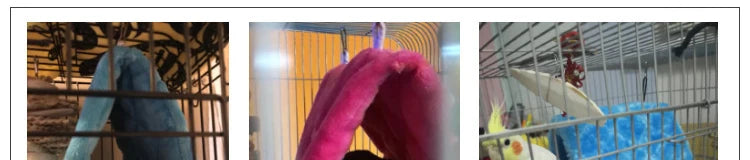 Winter Pet Bird Parrot Cages