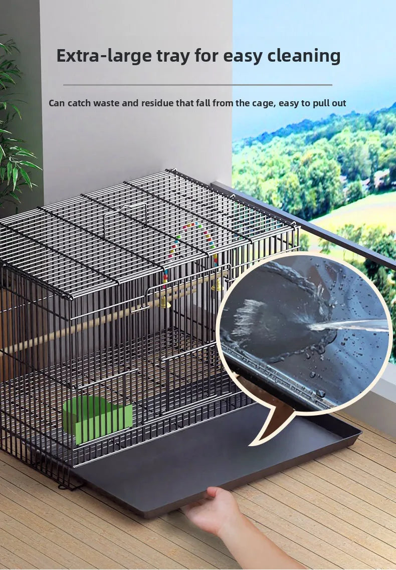 Giant Bird Cage