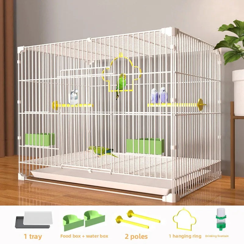 Giant Bird Cage