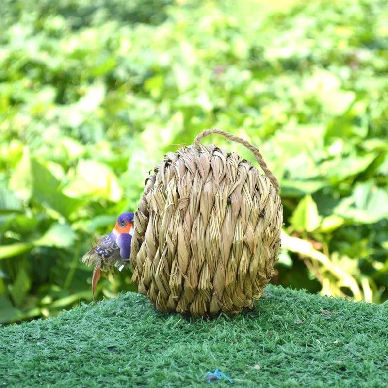 New Birds Nest