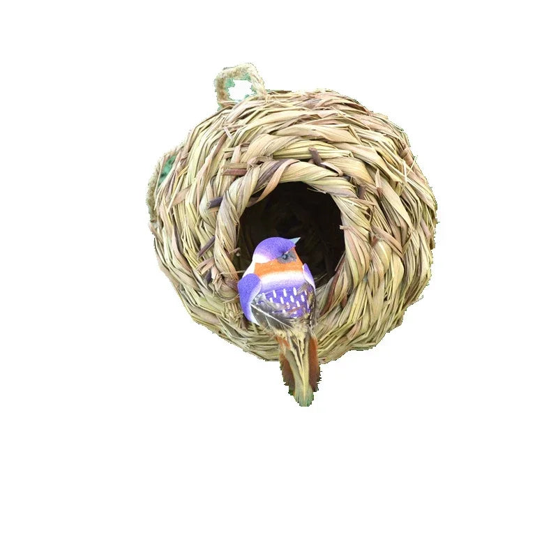 New Birds Nest