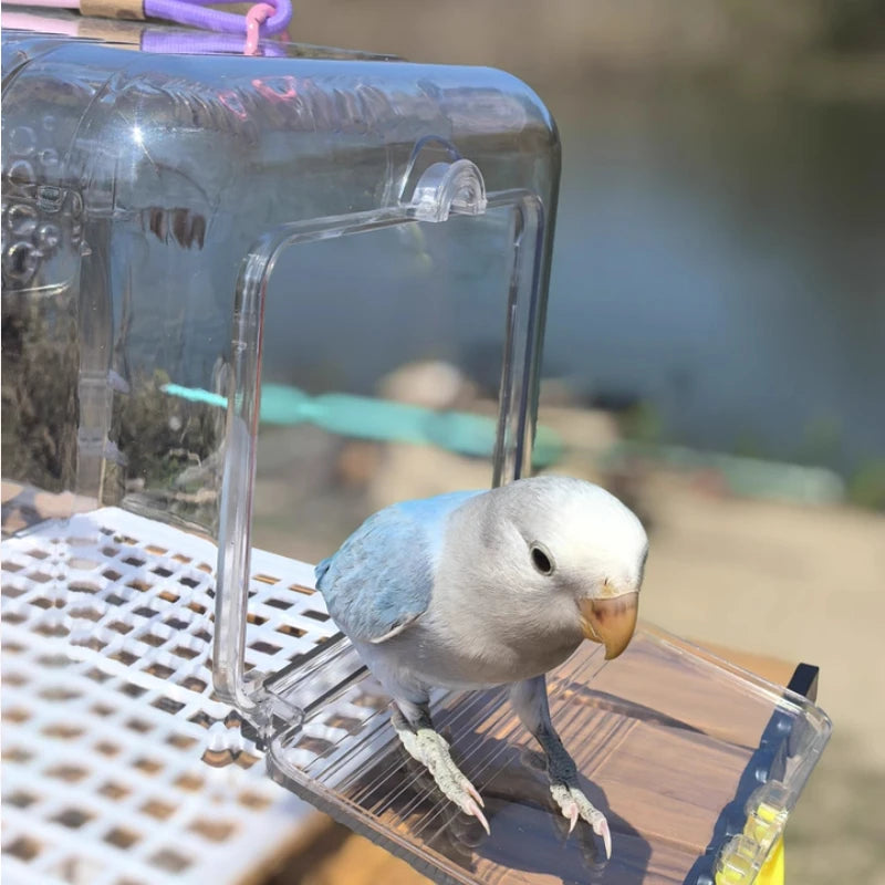 Bird Carrier Portable Clear Cage