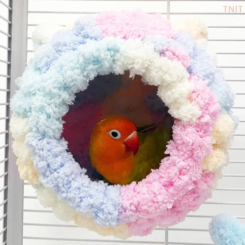 Winter Parrot House