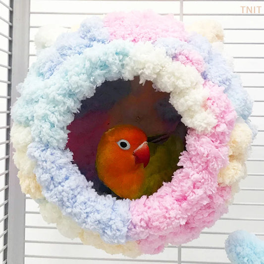 Winter Parrot House