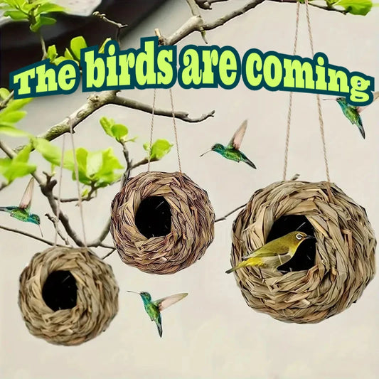 New Birds Nest