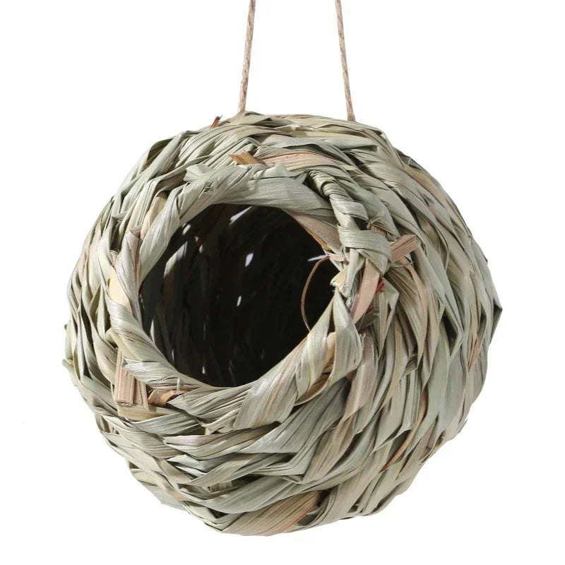 New Birds Nest