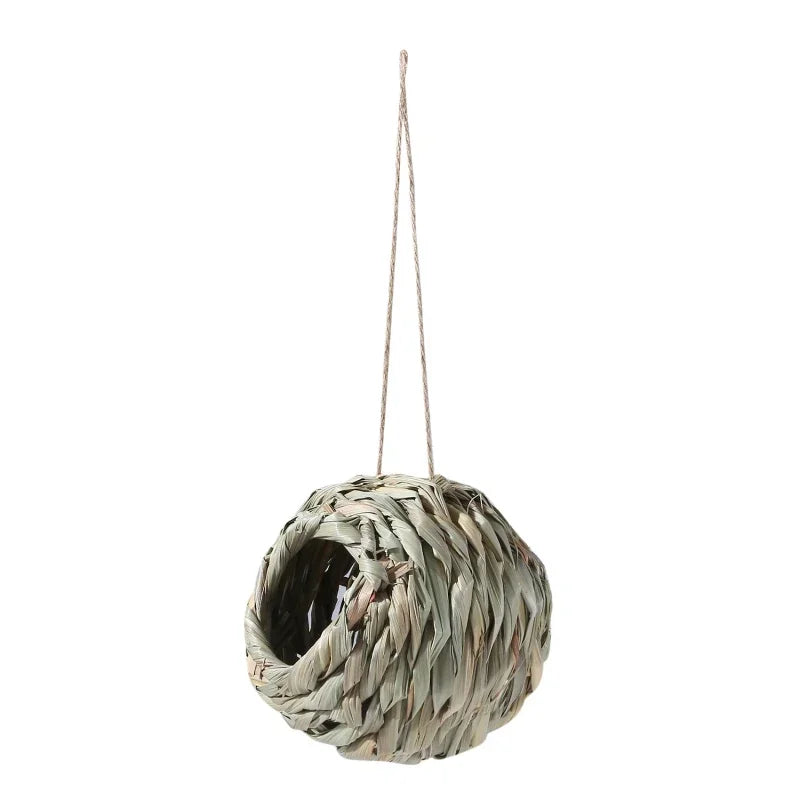 New Birds Nest