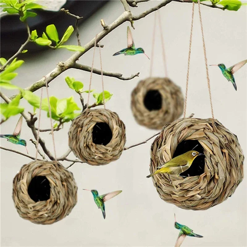 New Birds Nest