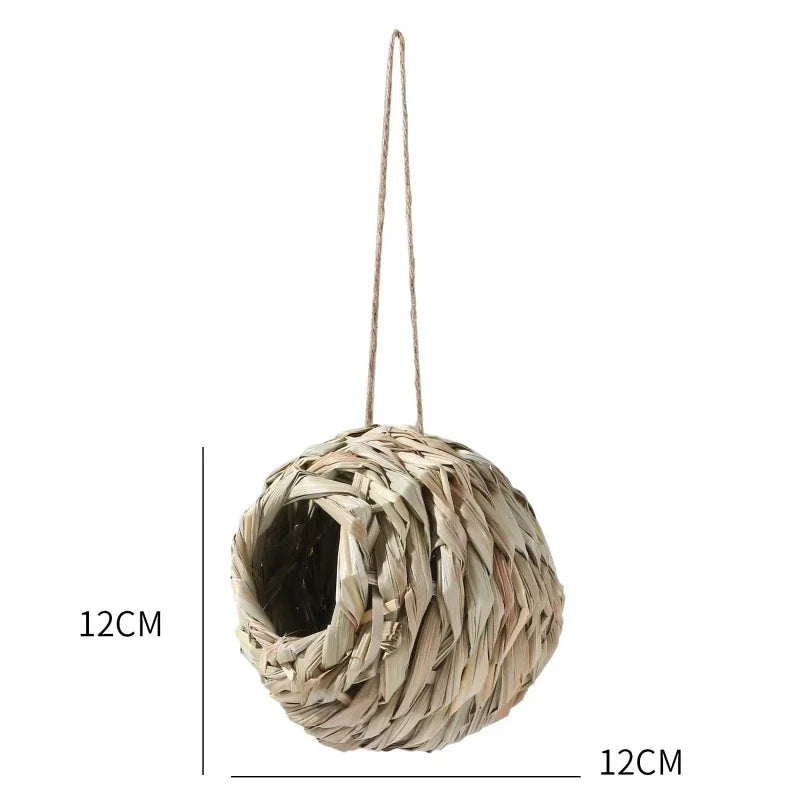 New Birds Nest