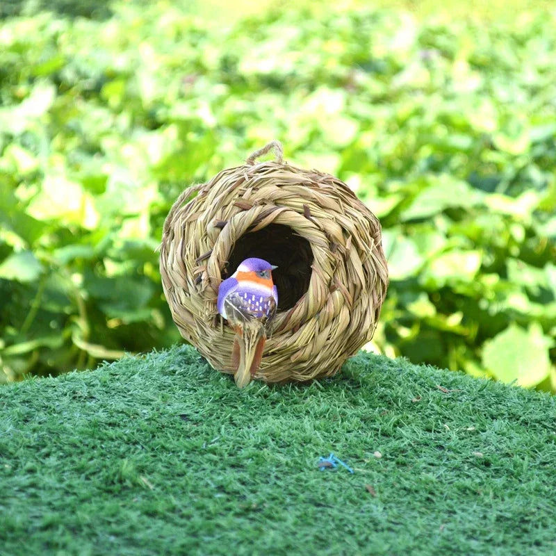 New Birds Nest