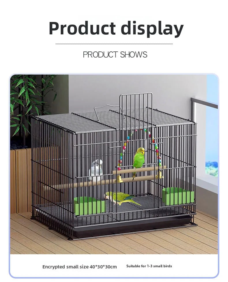 Giant Bird Cage