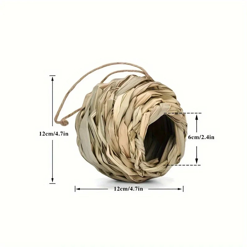 New Birds Nest