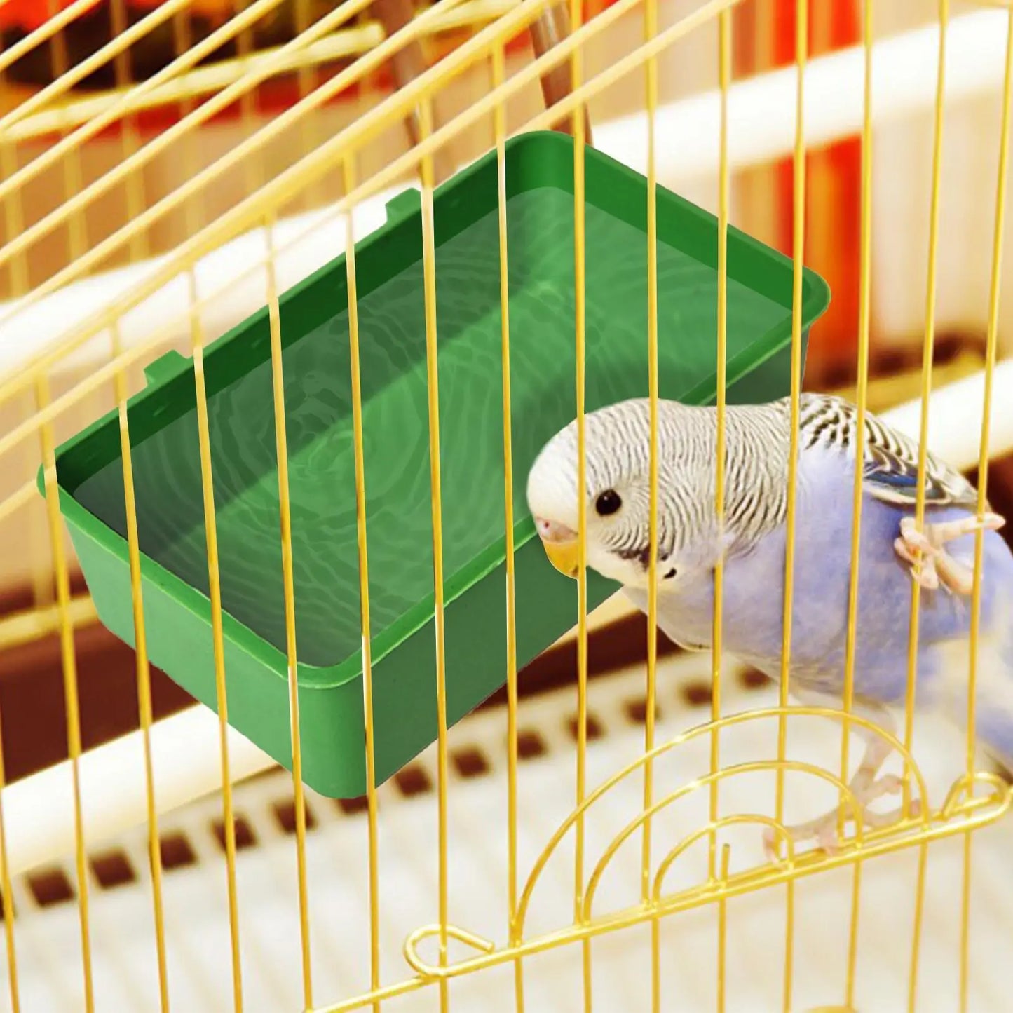 Water Bath Tub for Pet