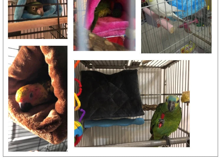 Winter Pet Bird Parrot Cages