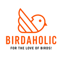 Birdaholic
