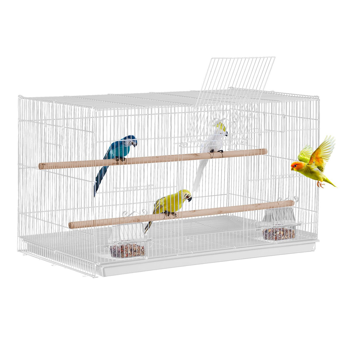 562895381